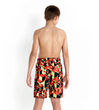 Boys Quick Dry Graphic Print Watershorts- Black & Watermelon