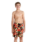 Boys Quick Dry Graphic Print Watershorts- Black & Watermelon