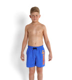 Boy's 100% Polyester Boombastic Graphic Printed Leisure Watershorts - Deep Peri & Peel
