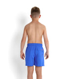 Boy's 100% Polyester Boombastic Graphic Printed Leisure Watershorts - Deep Peri & Peel