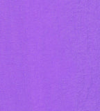 Men's Nylon Aquapack Watershorts - Violet