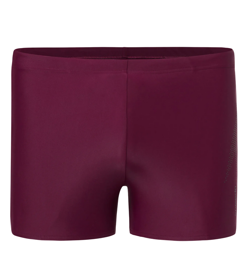 Men's Enduraflex Boom Logo Print Aquashort - Chocaberry & Black