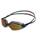 Unisex Adult Aquapulse Pro Mirror Lens Swim Goggles - Black & Gold
