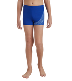 Boy's Endurance 10 Medley Logo Aquashort - True Cobalt & Curious Blue