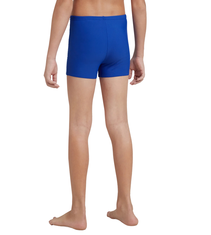 Boy's Endurance 10 Medley Logo Aquashort - True Cobalt & Curious Blue