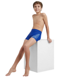 Boy's Endurance 10 Medley Logo Aquashort - True Cobalt & Curious Blue
