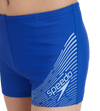 Boy's Endurance 10 Medley Logo Aquashort - True Cobalt & Curious Blue