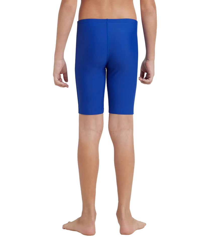Boy's Endurance 10 Medley Logo Jammer - True Cobalt & Curious Blue