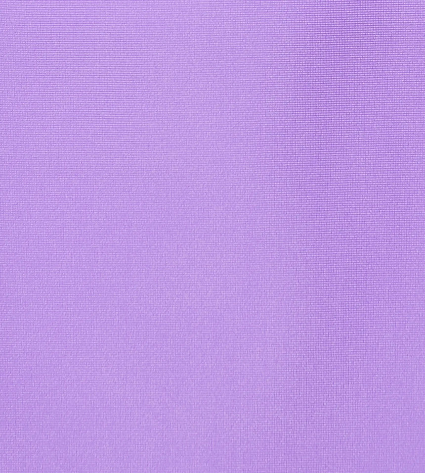 Women's Endurabrite Closedback Swimdress With Boyleg - Purple Mist & Tillandsia Purple